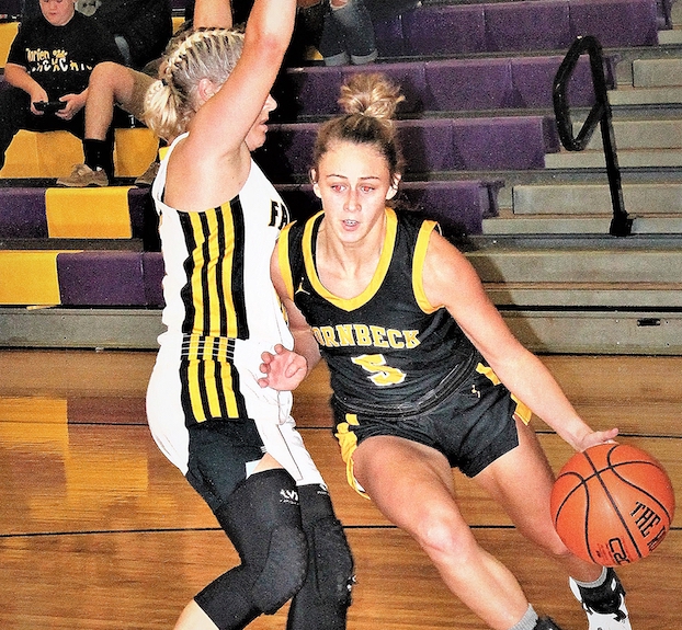 Lady fall short of Fairview Leesville Leader Leesville Leader